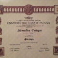 Ingrandire l'immagine: certificate 1