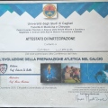Ingrandire l'immagine: certificate 7