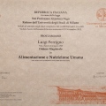 Ingrandire l'immagine: certificate 12