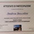 Ingrandire l'immagine: certificate 7