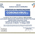Ingrandire l'immagine: certificate 1
