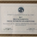 Ingrandire l'immagine: certificate 19