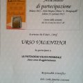 Ingrandire l'immagine: certificate 12