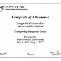 Ingrandire l'immagine: certificate 7