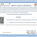 Ingrandire l'immagine: certificate 7