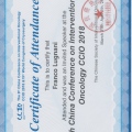 Ingrandire l'immagine: certificate 13