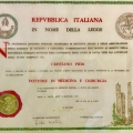 Ingrandire l'immagine: certificate 5