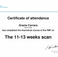 Ingrandire l'immagine: certificate 2