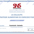 Ingrandire l'immagine: certificate 4