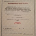 Ingrandire l'immagine: certificate 10