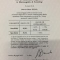 Ingrandire l'immagine: certificate 5