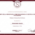 Ingrandire l'immagine: certificate 11