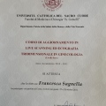 Ingrandire l'immagine: certificate 11
