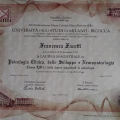 Ingrandire l'immagine: certificate 1