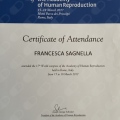 Ingrandire l'immagine: certificate 4