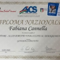 Ingrandire l'immagine: certificate 4
