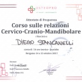 Ingrandire l'immagine: certificate 8