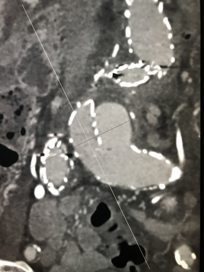 Mario De Laurentis-3