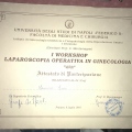 Ingrandire l'immagine: certificate 19
