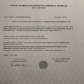 Ingrandire l'immagine: certificate 2