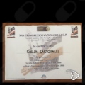 Ingrandire l'immagine: certificate 9