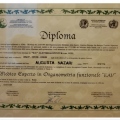 Ingrandire l'immagine: certificate 2