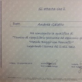 Ingrandire l'immagine: certificate 11