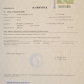 Ingrandire l'immagine: certificate 5