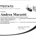 Ingrandire l'immagine: certificate 2