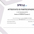 Ingrandire l'immagine: certificate 7