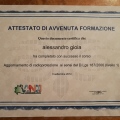 Ingrandire l'immagine: certificate 11