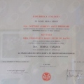 Ingrandire l'immagine: certificate 1