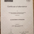 Ingrandire l'immagine: certificate 7