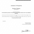 Ingrandire l'immagine: certificate 17