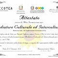 Ingrandire l'immagine: certificate 6