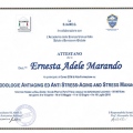 Ingrandire l'immagine: certificate 3