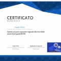 Ingrandire l'immagine: certificate 3