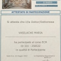 Ingrandire l'immagine: certificate 3
