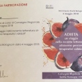 Ingrandire l'immagine: certificate 14
