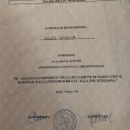 Ingrandire l'immagine: certificate 13