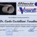 Ingrandire l'immagine: certificate 1