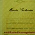 Ingrandire l'immagine: certificate 26