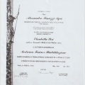 Ingrandire l'immagine: certificate 4