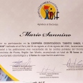 Ingrandire l'immagine: certificate 4