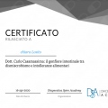 Ingrandire l'immagine: certificate 12