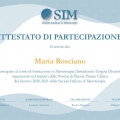 Ingrandire l'immagine: certificate 1