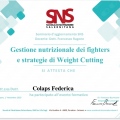 Ingrandire l'immagine: certificate 3