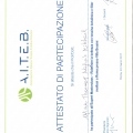 Ingrandire l'immagine: certificate 8