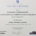 Ingrandire l'immagine: certificate 23
