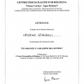 Ingrandire l'immagine: certificate 9